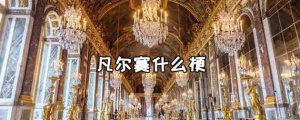 ​凡尔赛什么意思（网上的凡尔赛是什么意思）