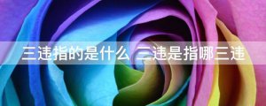 ​三违指的是什么（三违的内容）