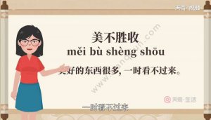 ​美不胜收的胜是什么意思（怎么理解美不胜收）