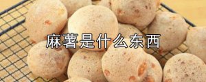 ​麻薯是什么东西（麻薯是什么材料做的）