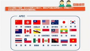 ​apec成员国有哪些国家（apec都有哪些国家和地区）
