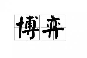 ​博弈一词是什么意思