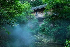 ​大隐隐于朝什么意思（大隐隐于朝出自哪里）