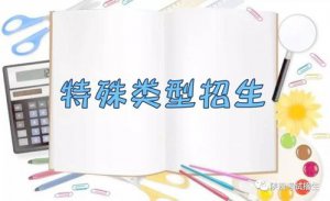 ​特殊类型招生是什么意思（特殊类型招生的解释）