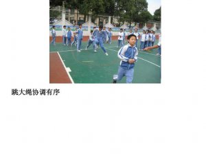 ​协调有序是什么意思（协调有序意思简述）