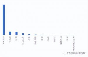 ​乌鲁木齐中亚第一大都市（天山北坡城市群）