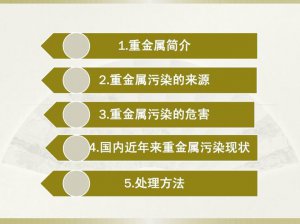 ​重金属污染的主要来源是什么（需要怎么解决这个问题）