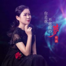 ​我不愿只在梦里见到你是什么歌（有完整歌词吗）