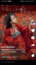 ​抖音红色彼岸花是什么歌（抖音红色彼岸花完整歌词）