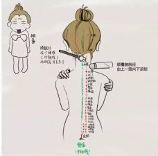 ​膀胱经的作用和功能是什么（膀胱经的作用和功能有哪些）