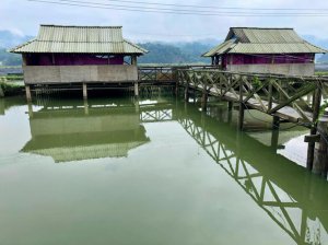 ​傣家竹楼的特点（傣家竹楼的特点是什么）