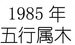 ​1985年是什么命（1985年属牛人的命运）