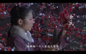 ​甄嬛传安陵容为什么要入宫（安陵容为什么急着勒死冷宫中的余氏）