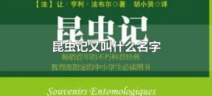 ​昆虫记又叫什么名字（昆虫记也叫什么名字）