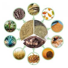 ​生物质是什么（生物质介绍）