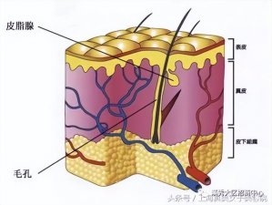 ​女人保养100个秘诀（保养护肤知识大全）