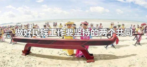 ​做好民族工作要坚持的两个共同（民族工作两个共同是指共同团结奋斗？）