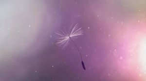​空间搞笑留言，搞笑空间留言逗死人