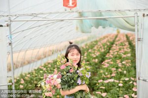 ​鲜花一般都是什么颜色（鲜花为什么有多种颜色）