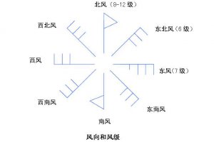 ​风向是指什么（风向如何测定）
