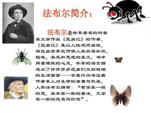 ​法布尔的资料简介（法布尔人物介绍）