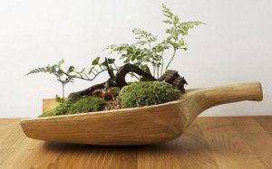 ​花器的搭配与清洁方法