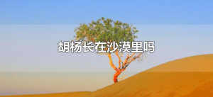 ​胡杨长在沙漠里吗（胡杨为什么只生长在沙漠）
