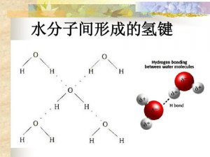 ​什么是氢键（氢键的介绍）