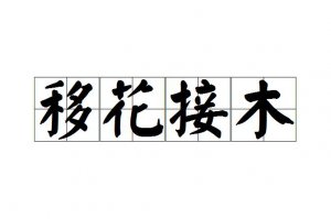 ​移花接木是指哪个生肖（移花接木是什么生肖）