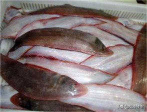 ​家常龙利鱼最佳做法（龙利鱼的做法有很多种）