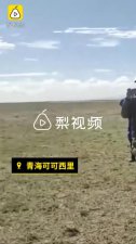 ​可可西里无人区遇难女孩 女青年独闯可可西里无人区失联