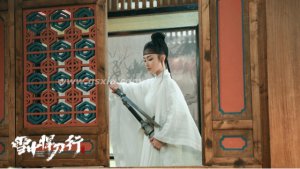 ​南宫仆射是男是女