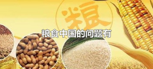 ​粮食中国的问题有（粮食中国的问题有哪些）