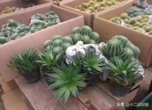 ​武汉比较全的批发市场（盘点武汉各大批发市场）
