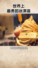​世界上的冰淇淋有几种（世界上十大冰淇淋）