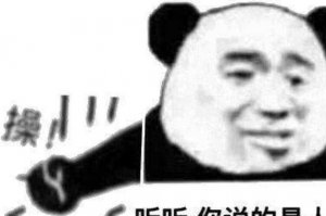 ​C语言是什么意思：一些经典国骂(比如草、艹等等)