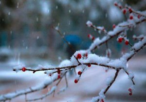 ​瑞雪兆丰年的下一句,＂瑞雪兆丰年＂全诗是什么