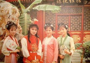 ​贾宝玉和袭人之间的关系（袭人跟贾宝玉行夫妻之实多年）
