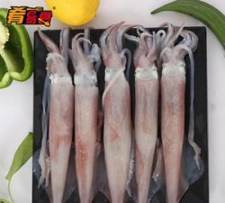 ​鱿鱼是鱼吗，有些动物如章鱼，带鱼，墨鱼鱿鱼，名称里都有鱼字，他们都是鱼吗