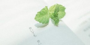 ​诺言是什么意思,诺言的含义是什么