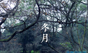 ​冬月是农历的几月,冬月指农历几月