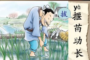 ​拔苗助长告诉我们什么道理,揠苗助长告诉小朋友什么道理用一句话说出来
