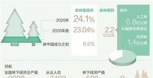 ​中国森林覆盖率最高的城市是,中国目前哪座城市树木森林覆盖率最高的