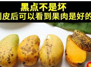 ​芒果有黑斑还能吃,芒果表皮长黑斑还能吃吗