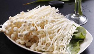 ​如何选金针菇,金针菇怎么选