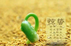 ​惊蛰节气的含义,惊蛰节气的含义是什么意思