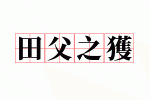 ​田父得玉的解释（田父得玉的翻译）