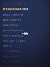 ​教堂的白鸽不会亲吻乌鸦是什么歌（歌曲白鸽完整歌词介绍）