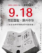 ​一图读懂九一八事变（历史的倾诉1回看九）
