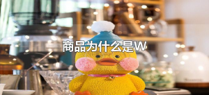 ​商品为什么是W（商品的缩写为什么是W）
